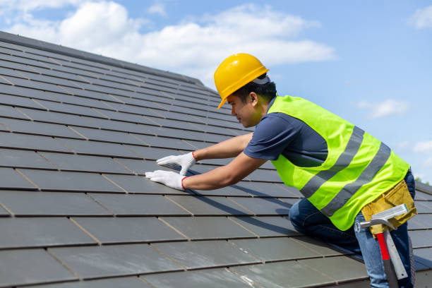 Best Roof Gutter Cleaning  in El Paso, IL